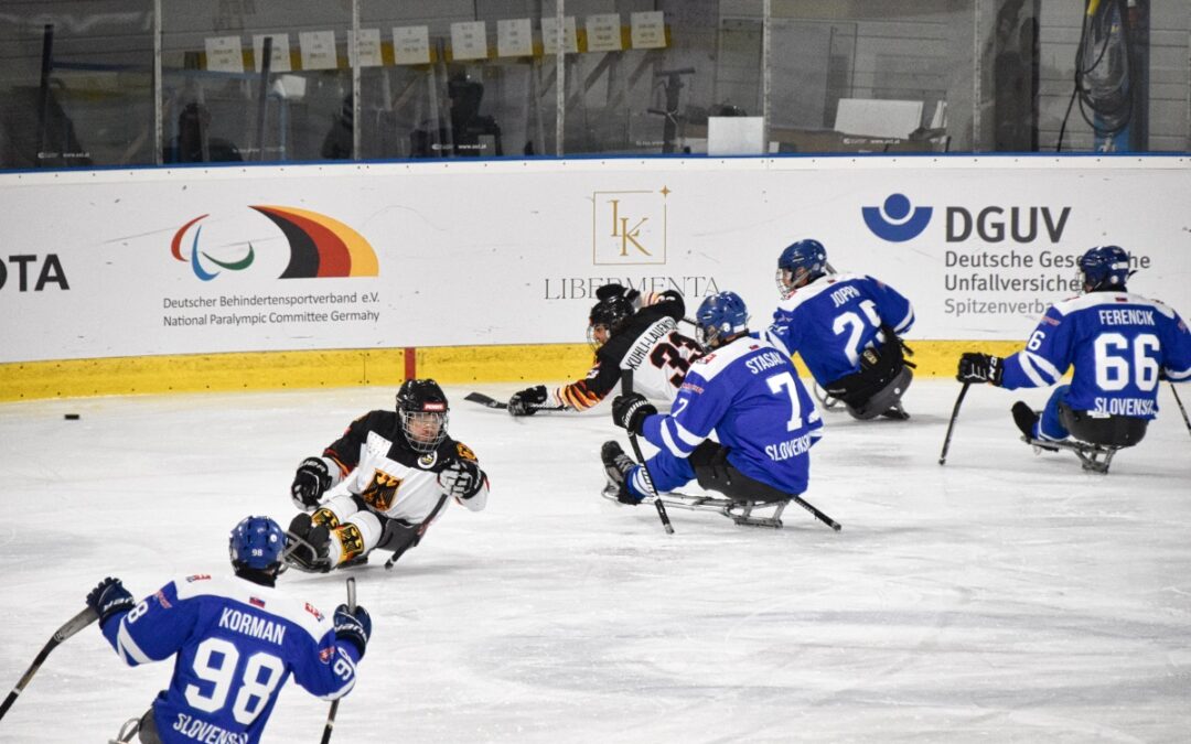 Beschreibung Para Eishockey